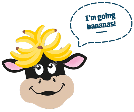 yabon pudding to go gif of cow charlie with bananas on his head